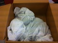 Shane Shipping Snake when first opened box10_31_2012.jpg