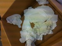 Bottom of Shane Shipping Snake box10_31_2012.jpg