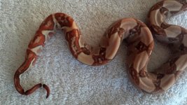 2012-11-04_13-23-28_559.jpg