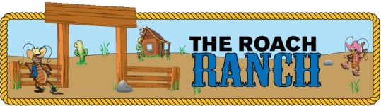 TRR_Banner_1.jpg