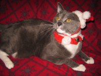 MerryXmasNimbus.jpg