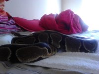 IMG_20121118_135222.jpg