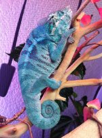 IMG_0161.JPG