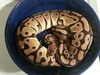20121029_164452.jpg
