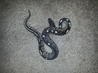 20130312_153714.jpg