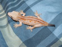 IMG_3653.jpg