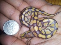 20121102_165819.jpg