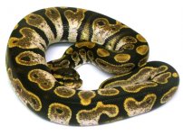 GEDC0248.jpg