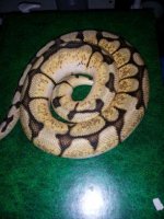 2013031295165850.jpg