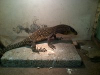 Alvin-Pearland-20120815-00012.jpg