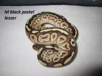 mblackpastelesser.jpg