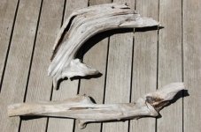 Driftwood.jpg