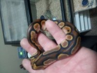 20121113_010422.jpg