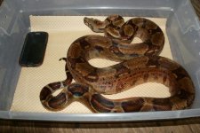 IMG_9267.jpg