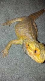 2012-11-20_21-10-00_924.jpg