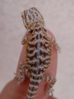 DSC03846.jpg