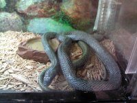 IMG_20121205_123019.jpg