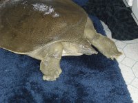 DSCF1080.jpg