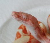 PC200034a400-306x265.jpg