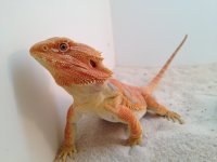 IMG_2775.jpg