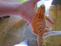 IMG_1774.jpg