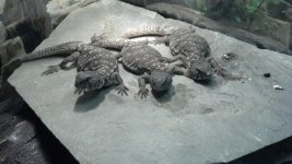 2012-10-21_14-21-47_967.jpg