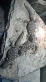2012-11-17_14-29-44_553.jpg