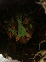 IMG_0152.jpg