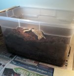 nestbox.jpg