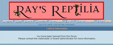 ray3.JPG
