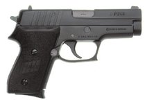 p245-45b.jpg