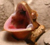 openwide.jpg