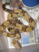 IMG_0327.jpg