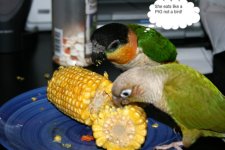 Shrek and Rosie with corn.jpg