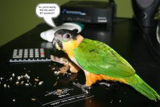 Shrek stealing my food.jpg