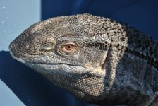 DSC_1509.jpg