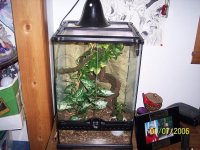 Mocha's tank.JPG