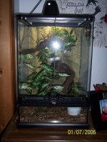 mocha tank 2.JPG