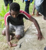 Skink with Ba.JPG
