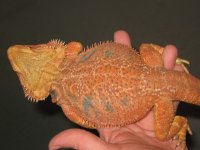 IMG_1999.JPG
