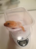 photo (1).jpg