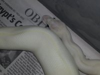 20130128_165603.jpg