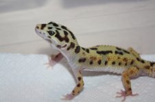 8735265_orig.jpg