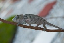 DSC_1249.jpg