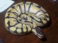 20120823_205807.jpg