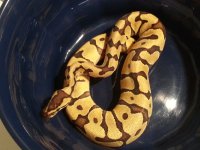20121029_162833.jpg