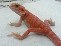 20130208_132457.jpg