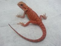20130208_132453.jpg