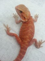 20130208_132459.jpg