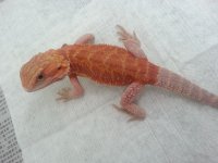 20130208_132402.jpg